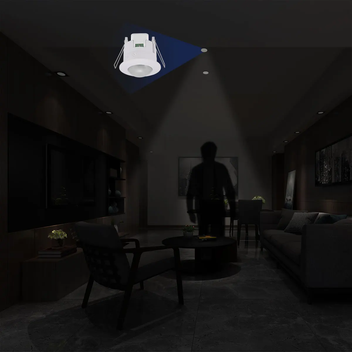 Инфракрасный датчик движения тела с переключателем автоматический PIR