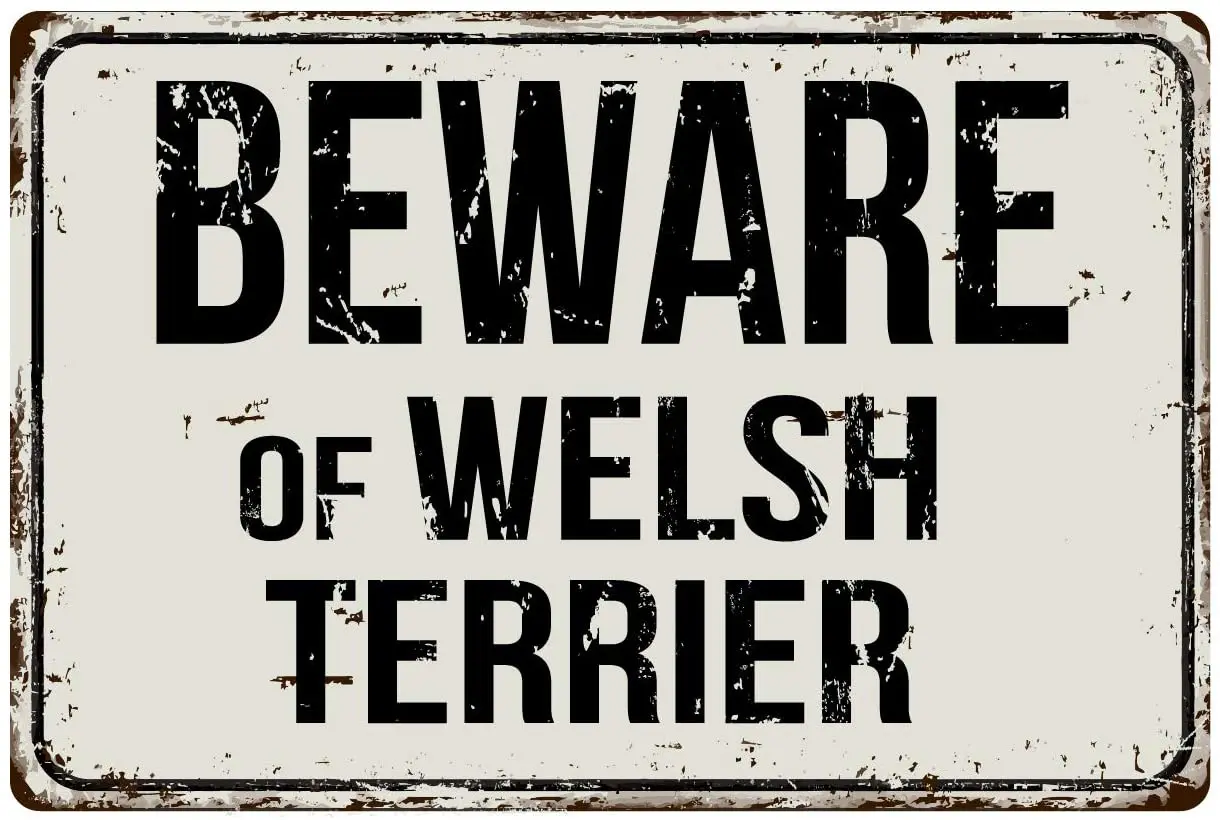 

562VS Beware of Welsh Terrier 8 x 12 Vintage Aluminum Retro Metal Sign