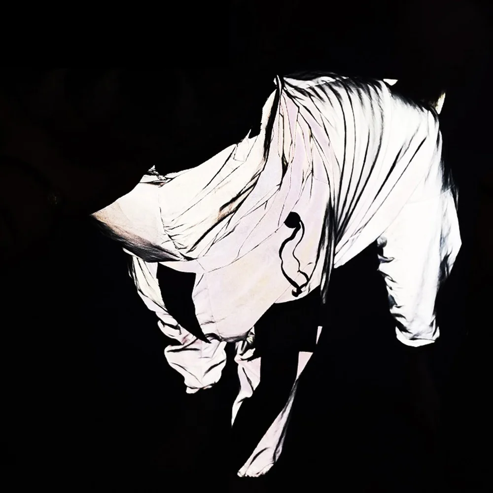 Дождевик светоотражающий для собак средних и крупных пород ветрозащитный с