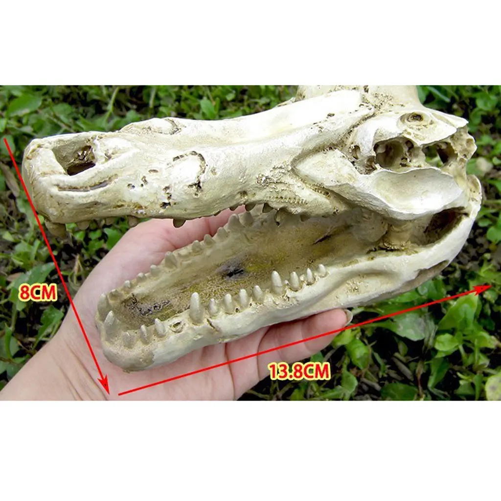 

Reptile Animal Head Skull Decorations for Aquarium Office Home House Landscaping