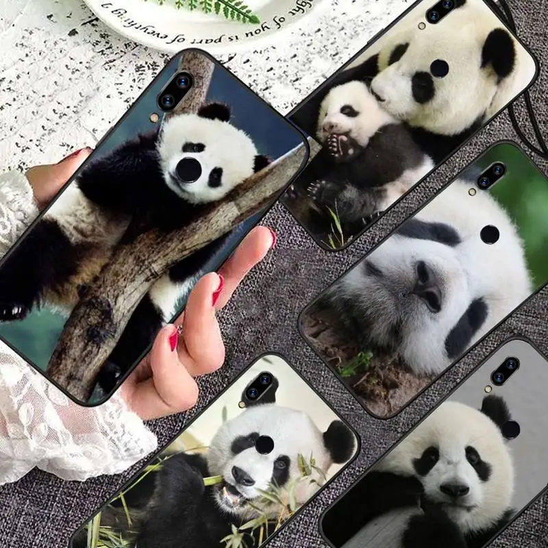 

Panda Cute animals Phone Case For Xiaomi Redmi note 7 8 9 11 i t s 10 A poco f3 x3 pro lite funda shell coque cover