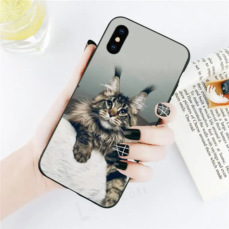 

Cute animal pet maine coon cat Phone Case for iPhone 11 12 mini pro XS MAX 8 7 6 6S Plus X 5S SE 2020 XR