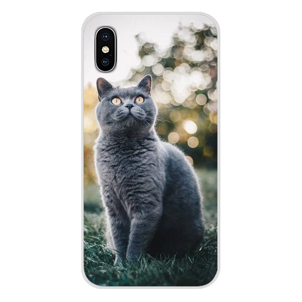 images 11 Для Apple IPhone X XR XS 11Pro MAX 4S 5s 5C SE 6S 7 8 Plus ipod touch 5 6 Британский короткошерстный Кот Топ дизайн силиконовые чехлы - Цвет: images 11