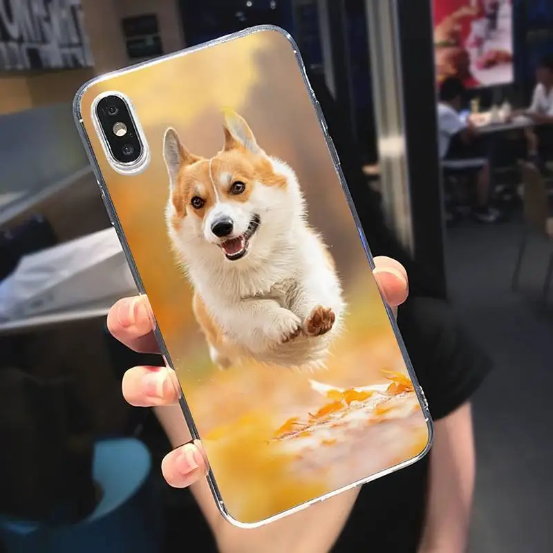 

Corgi cute dog animal Phone Case Transparent soft For iphone 5 5s 5c se 6 6s 7 8 11 12 plus mini x xs xr pro max
