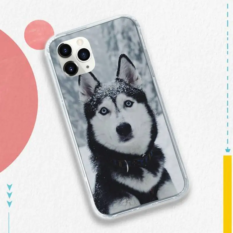 

Husky Dog animal high quality Phone Case for iPhone 11 12 pro XS MAX 8 7 6 6S Plus X 5S SE 2020 XR