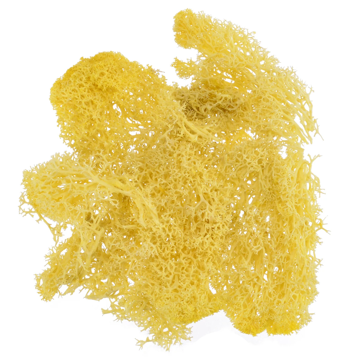 Yellow 1 шт 10 г красочные искусственные мхи поддельные растения консервированные сушеные искусственные ремесленные цветы для домашнего сада Вечерние - Цвет: Yellow