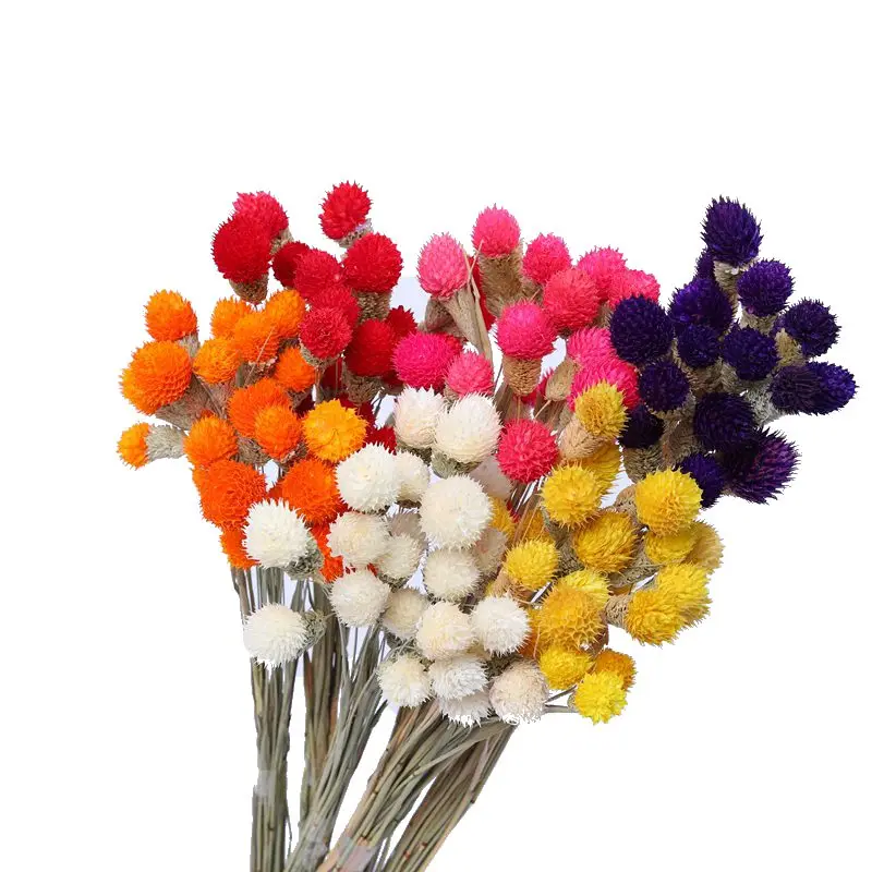 

10pcs Dry Flower Nature Real Dry Berry Flowers DIY Floral Display Rabbit Grass Plant For Wedding Bouquet Home Room Party Decor