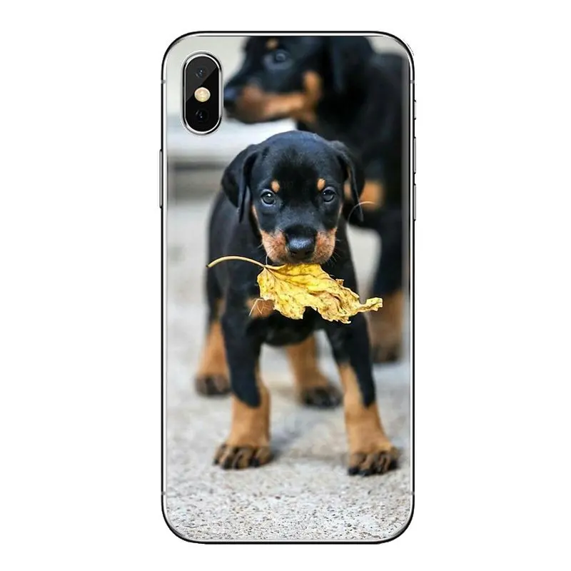 Прозрачный чехол из ТПУ для Xiaomi Redmi 4A S2 Note 3 3S 4 4X5 Plus 6 7 6A Pro Pocophone F1 Pinscher собака