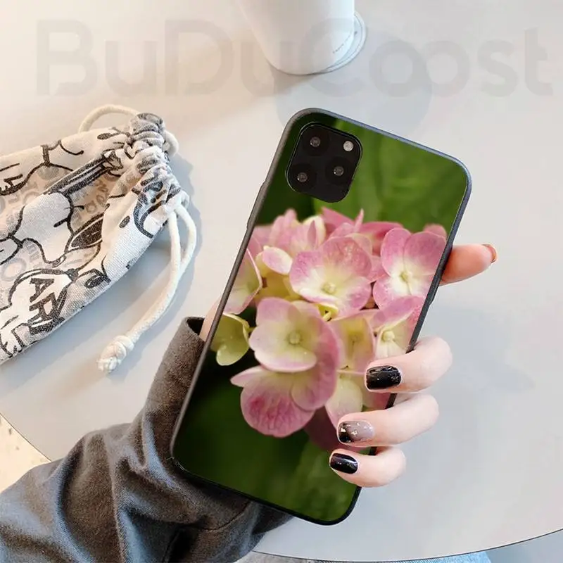 beautiful hydrangea shell phone case for iphone 11 pro11 pro max x xs xr xs max 8plus 7 6splus 5s se 7plus case free global shipping