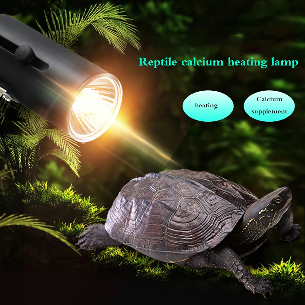 

High Quality Reptile Light Stand UVB Lamp Reptile Light Stand Pet Light Snake Lizard Backlight