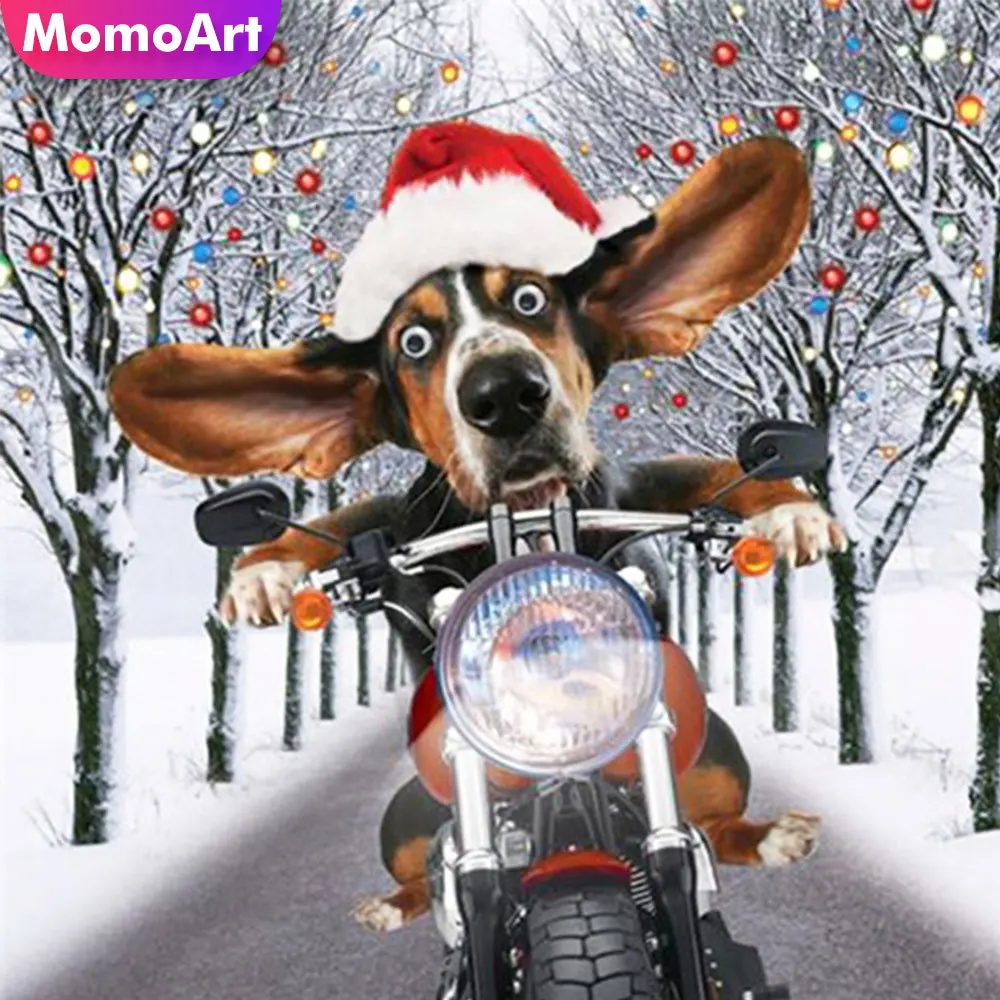 

MomoArt Алмазная вышивка собака животное картина Стразы Алмазная мозаика зима полная картина квадратов рождественские подарки