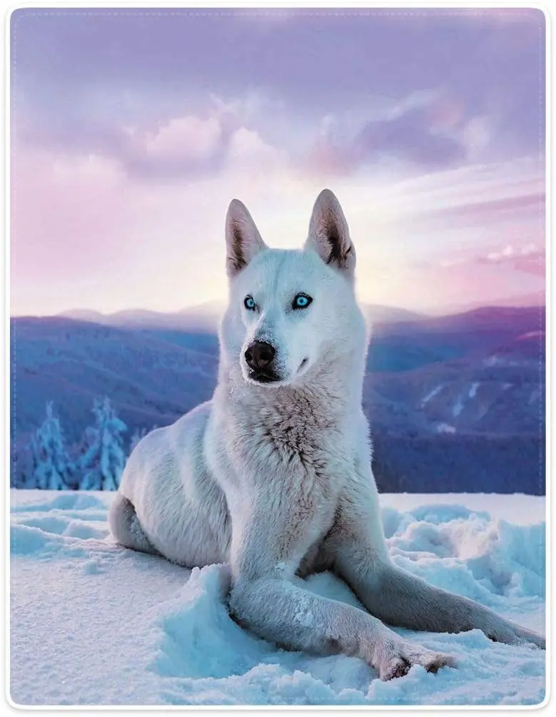 

White Wolf Blanket Animal Print Soft Fluffy Fleece Throw,Purple