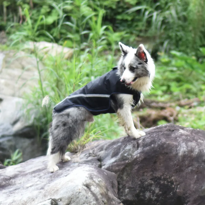 [PEITAARR] дождевик для собак куртка одежда ветрозащитный непромокаемый прогулок и