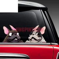 personality car stickers vinyl motorcycle decal decoration laptop laptop helmet trunk wall sicky funny french bulldog cartoon