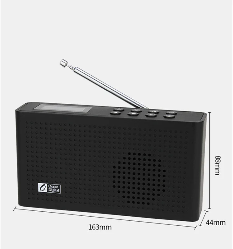 DAB+/WiFi/FM/UPnP/DLNA Ocean Digital WR-26 Multi-language Menu Portable Internet Radio Bluetooth 2000mAh Battery | Электроника