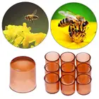 1000 шт коричневые клетки Пластик чашки пчеловодная королева коробка для выращивания Инструменты для пчеловодства пчелиный инструменты для Сделано в Китае