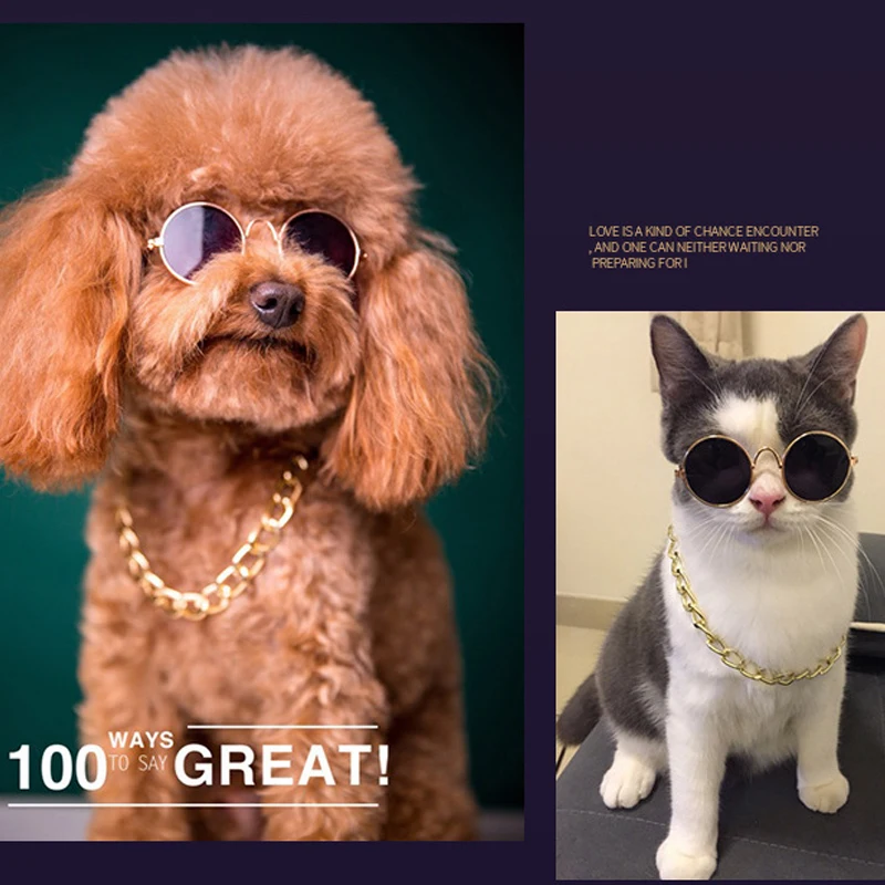 1 шт. Складная Животных очки для домашних животных отдыха на открытом воздухе