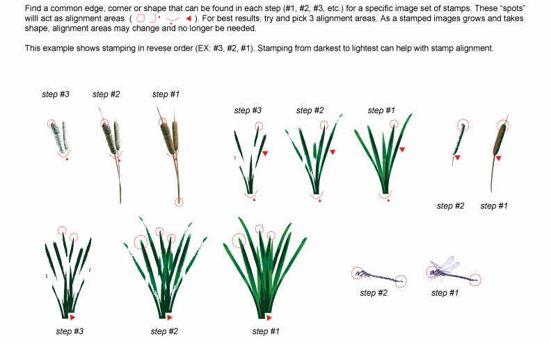Прозрачные штампы со стрекозой для скрапбукинга сделай сам/изготовления