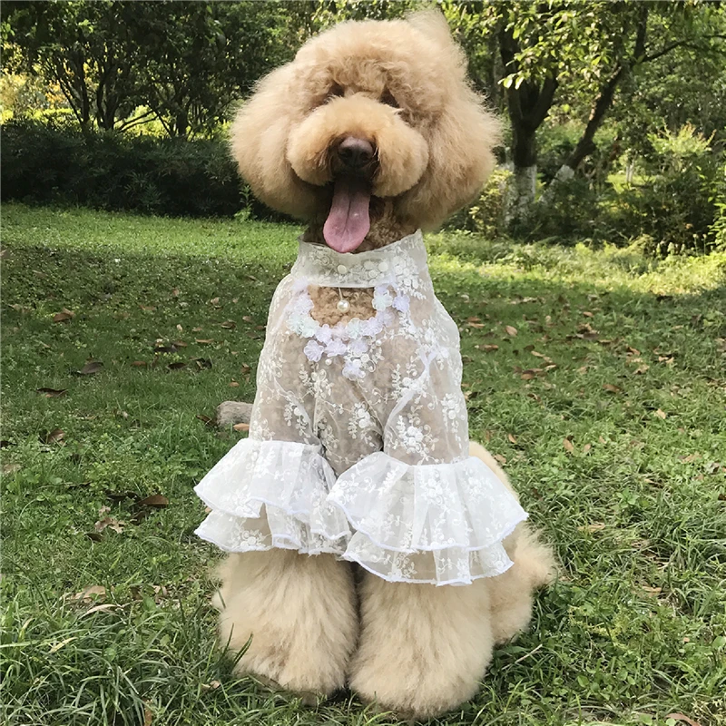 

Pets Products Fashion Big Dogs Clothes For Giant Poodle