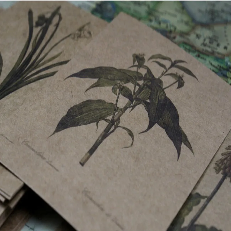 30sheets/PACK Plant Featured Series Postcards Invitation Greeting Kraft Paper Card writing to friendschrismas | Дом и сад