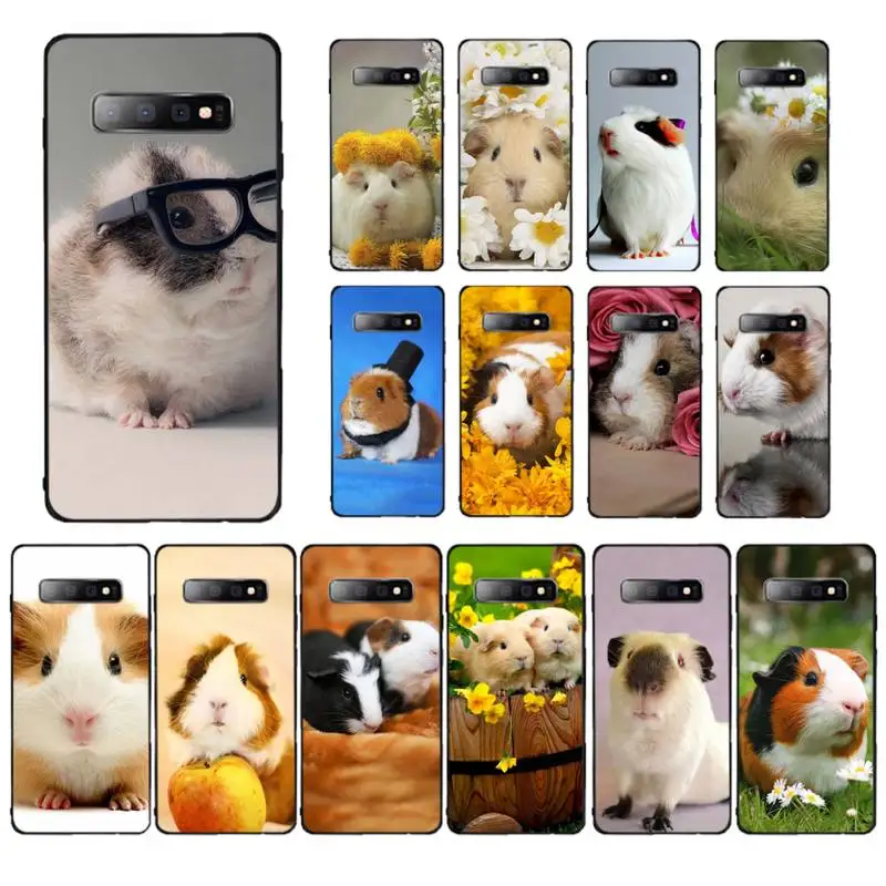 

MaiYaCa Guinea Pig Cute Animal Pet Blue Phone Case for Samsung S10 21 20 9 8 plus lite S20 UlTRA 7edge