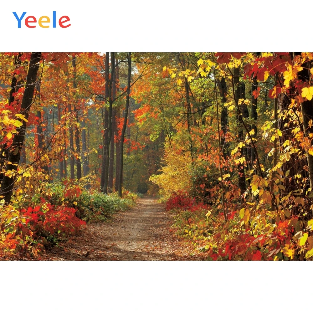 

Autumn Forest Tree Leaves Newborn Baby Portrait Backdrop Vinyl Photography Background For Photo Studio Photophone Photozone Prop