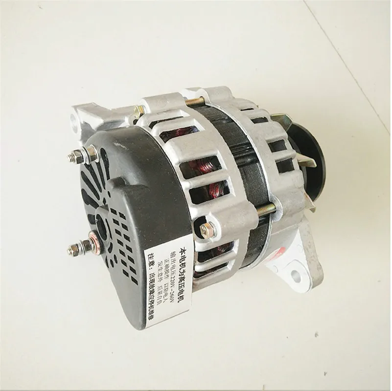 Небольшой бытовой шкив колеса постоянный магнит постоянное напряжение 220V1500W