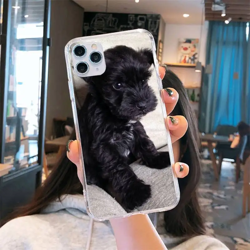 

Lovely Dogs Schnauzer Phone Case Transparent for iPhone 6 7 8 11 12 s mini pro X XS XR MAX Plus cover funda shell