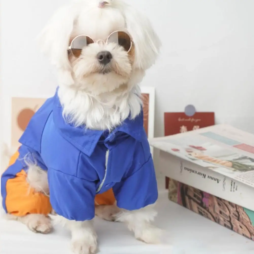 Не скатывающаяся Красивая утолщенная куртка для питомца костюм собаки с