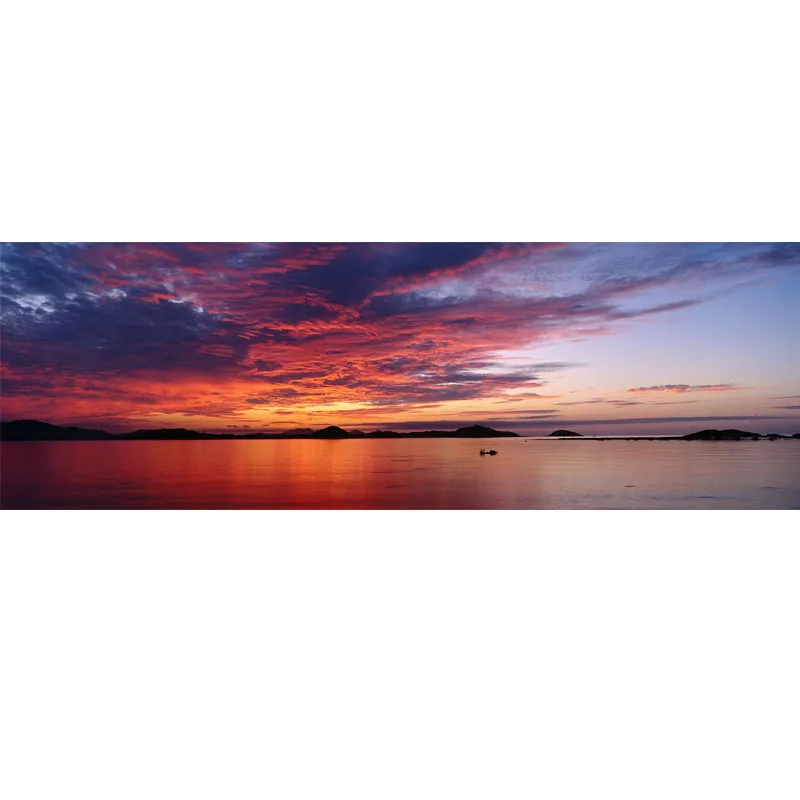 Nitree пастбище пейзаж большая стена закат фотостудия реквизит фотография задний