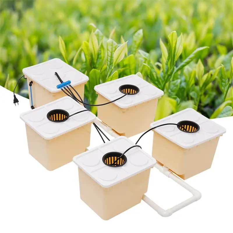 Buckets Drip Growing System High Production Hydroponics Seedling Nursery Plant Germination Box & Aeroponic Propagation Kit