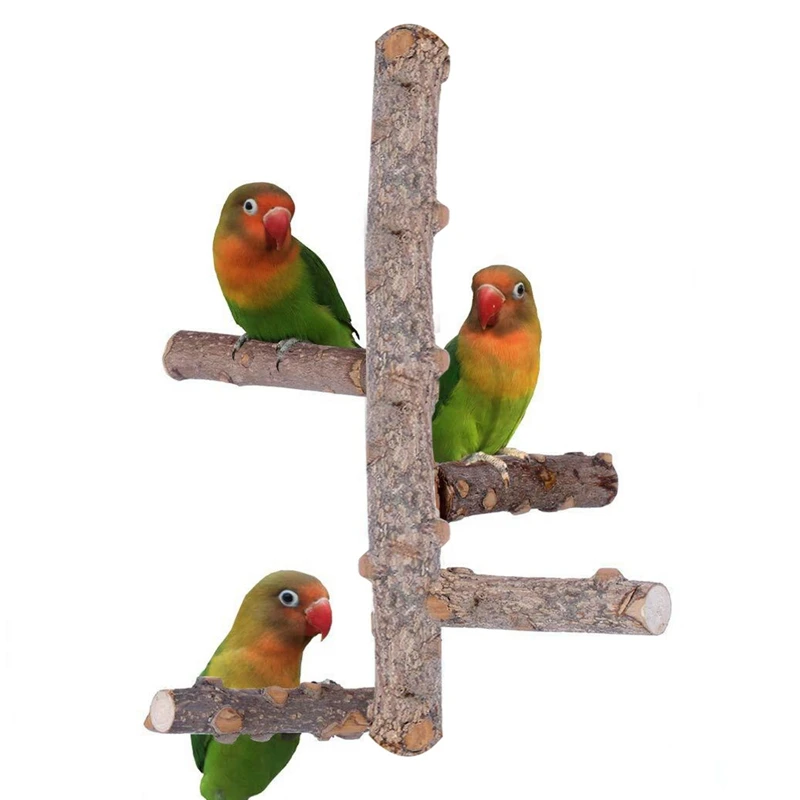 

Bird Natural Wood Branch Stand Parrot Toys Parrot Pet Wooden Holder Perches Playground Exercise Gym Playstand