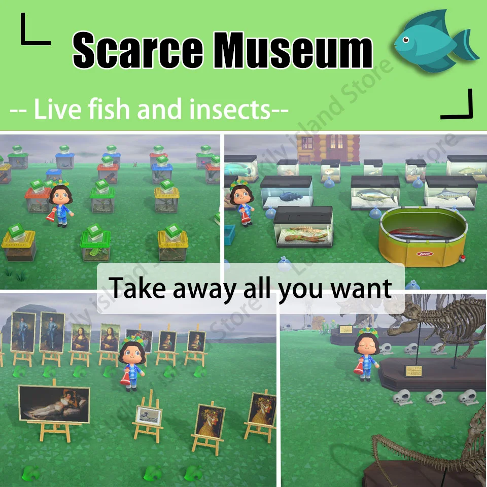

ACNH Museum Island Living Fish and insect Golds/Nook mile tickets/Bait/Pearls/Diy/Bells Museum Dodo code service ACNH