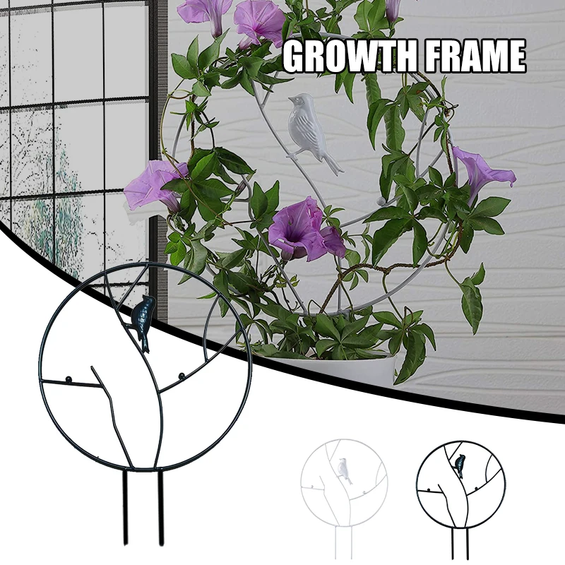 

Plant Vines Climbing Frame Metal Flowerpot Bracket Supporting Plants for Indoor Decoration PR Sale