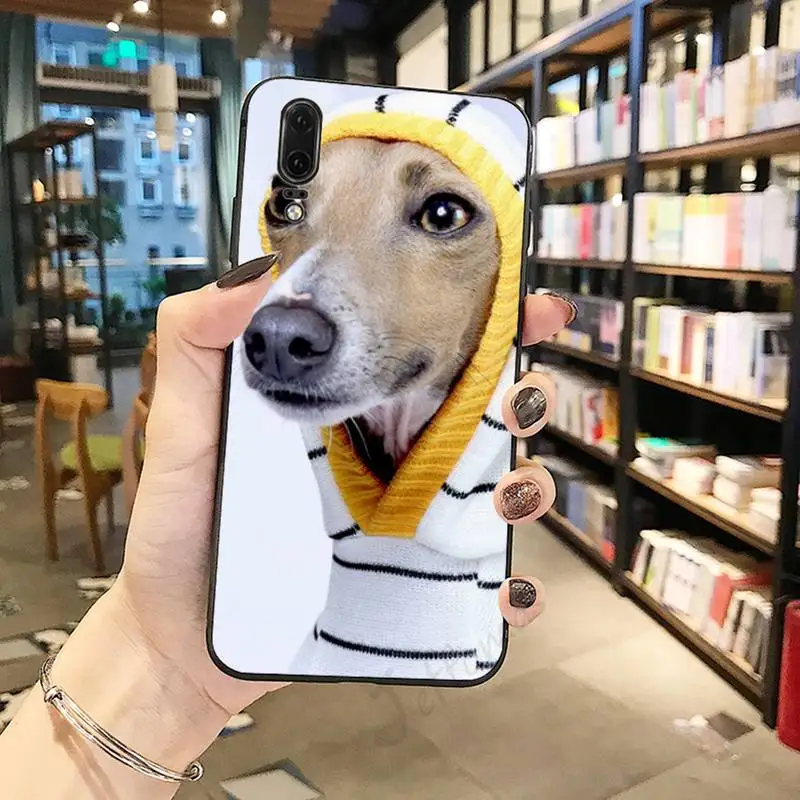 

Galgo Greyhound Dog Anti-fall cover luxury Phone Case coque For Huawei honor Mate P 10 20 30 40 Pro 10i 9 10 20 8 x Lite