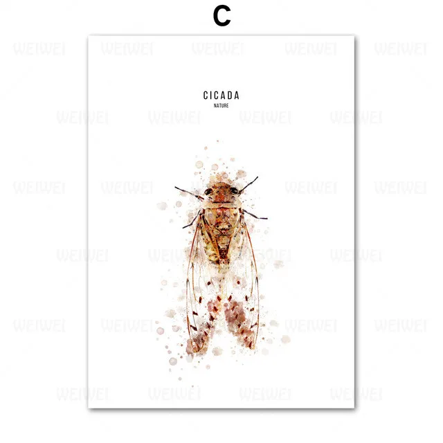 

Snail Dragonfly Cicada Insect Quotes Wall Art Canvas Painting Nordic Posters And Prints Wall Pictures For Living Room Home Decor