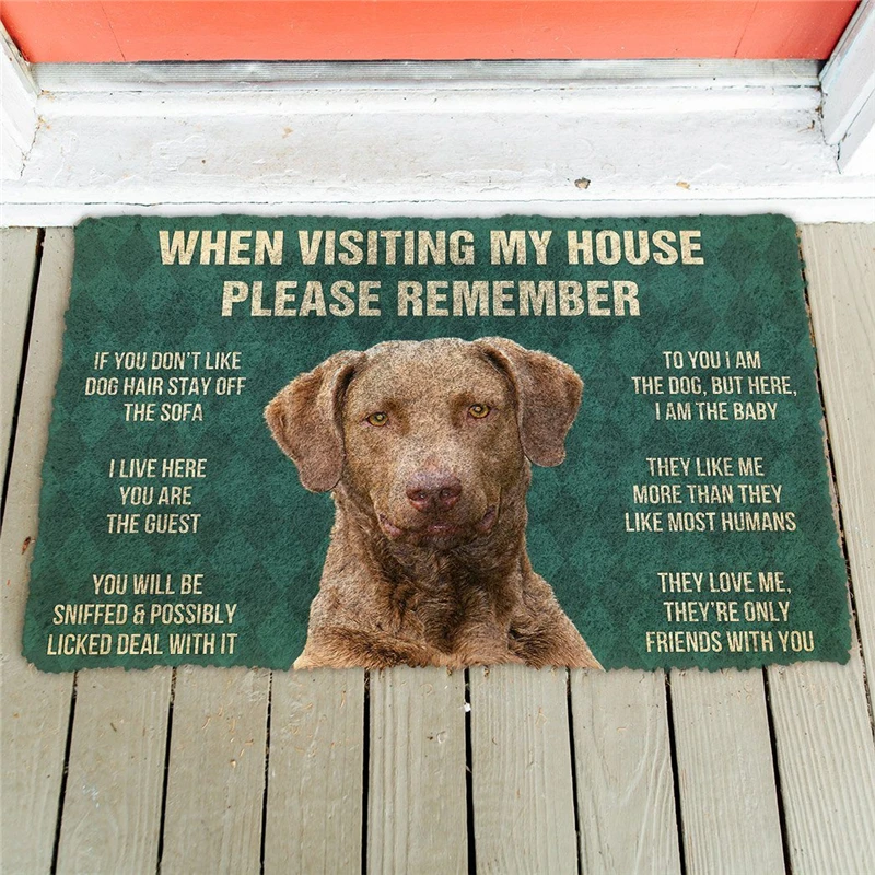 

Please Remember Chesapeake Bay Retriever Dogs Doormat Decor Print Carpet Soft Flannel Non-Slip Doormat for Bedroom Porch