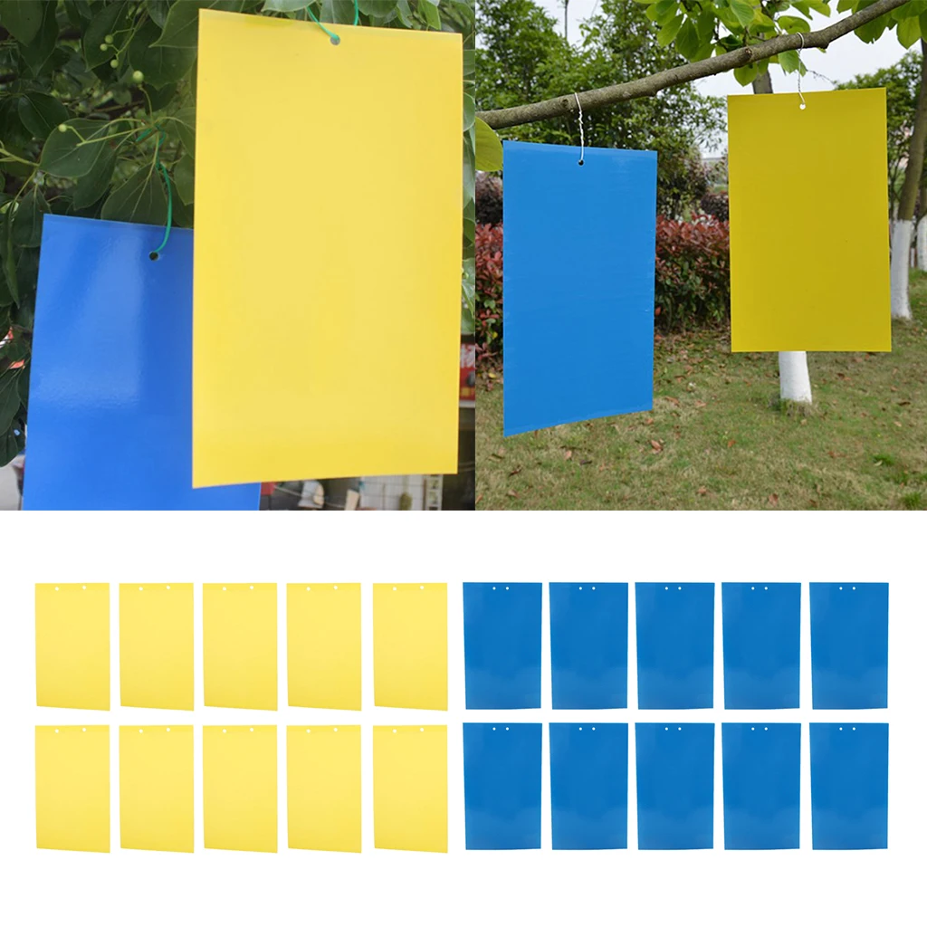 10 шт. липкая ловушка для мух и грибков насекомых крытых наружных фруктов защиты