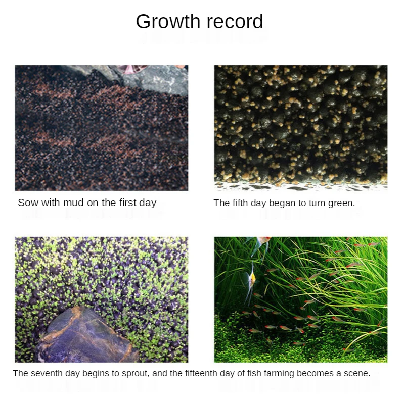 

Aquarium Plant Aquatic Water Grass Decoration Fish Tank Easy Growing Moss Lawn Home Garden Ornaments Landscape Supplies