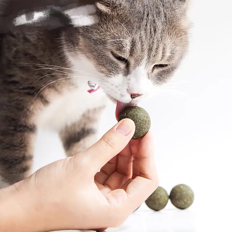 

10 шт. кошка натуральная кошачья мята обработать мяч кошка за деятельность мяч корм для животных кошка закуски для игры на площадке кошка осв...