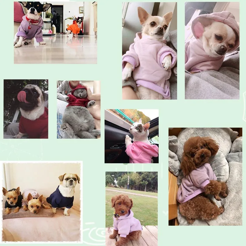 Однотонная Одежда для собак осенняя Толстовка кошек и зимний наряд щенка костюм