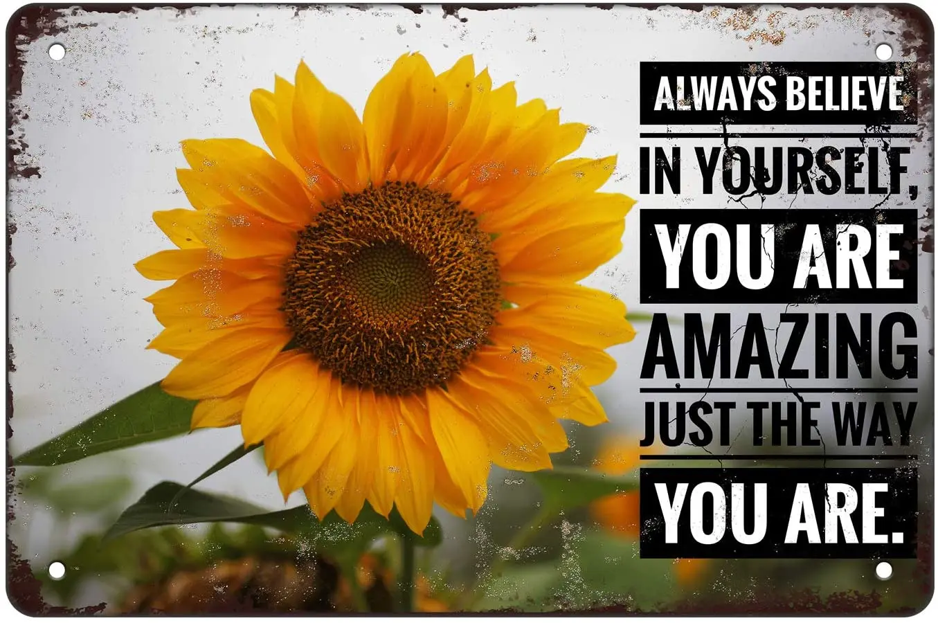 

You Are Amazing Wall Decor Tin Sign,8x12inch Vintage Novelty Office Home Wall Decor Gift for Colleagues-You Are Amazing20x30cm