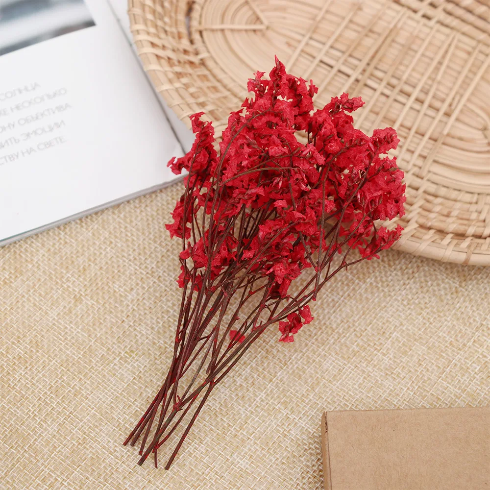 Красочные цветочные растения Хрустальная трава babysbreak для рукоделия Скрапбукинг