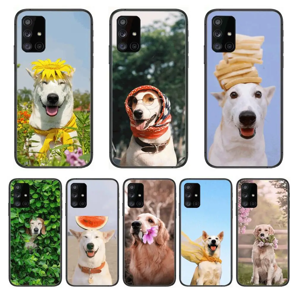 

Teddy Bulldog Pomeranian Corgi Golden dog Cool Phone Case Hull For Samsung Galaxy A 90 50 51 20 71 70 40 30 10 80 E 5G S Black