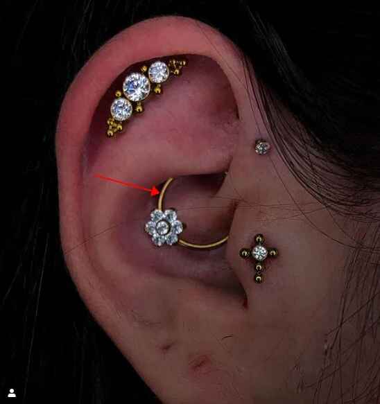 gold Кольца для пирсинга с этническим цветком в носу 16 г CZ Gem Septums Helix Tragus Daith хрящи сексуальные украшения для пирсинга тела - Окраска металла: gold