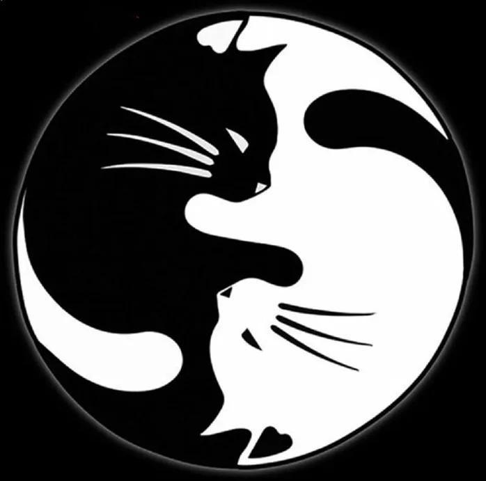

square/round 5d diamond painting Yin Yang cat cross new Year diamond embroidery plastic crafts Full diamond painting