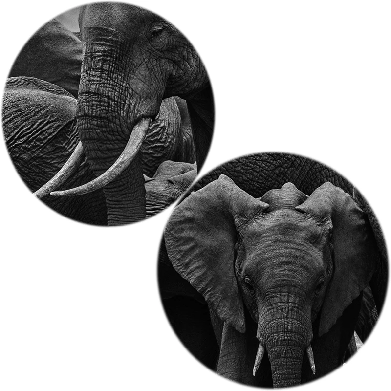

Black Africa Elephants Wild Animals Canvas Painting Scandinavia Posters and Prints Cuadros Wall Art Pictures For Living Room