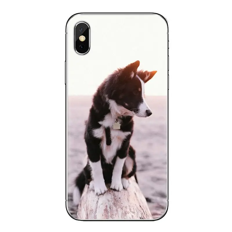 Border Collie Dog Breed Print Soft Transparent Case For Oneplus 3T 5T 6T Nokia 2 3 5 6 8 9 230 3310 2.1 3.1 5.1 7 Plus 2017 2018 |