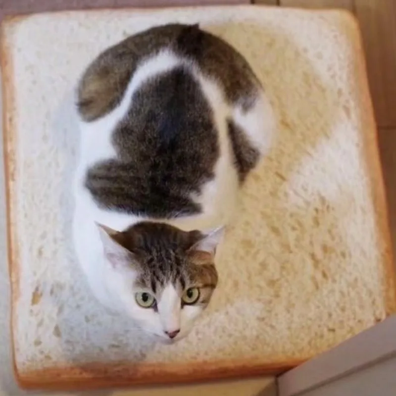 Тост Хлеб кошка подушка Товары для домашних собак кровать коврик мягкая плюшевое