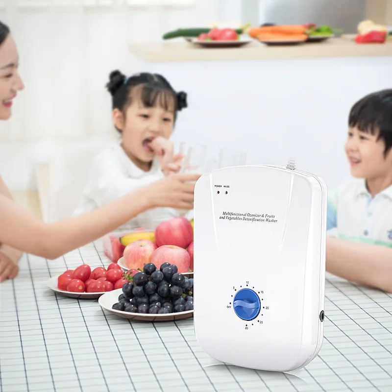 

400mg Fruits Washing Machine Ozonizer Water Ozone Generator 110V Ozone Desinfector